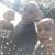 Marrero Marrero's profile image