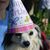 Beverly Haverick's profile image