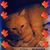 April Wilk's profile image
