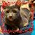 Tammy Galbreath's profile image