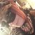 Chanda Mitchell's profile image