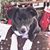Michele Haymes's profile image