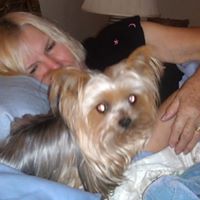 Bonnie Grimes's profile image