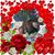 Malti Kalidin's profile image