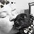 Jessica Lasker's profile image