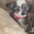 Rhonda Ruiz's profile image