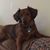 Allyson Bumgarner's profile image