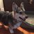 Leigh Anne Faulconer's profile image