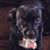Sarah Olivo's profile image