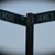 Betty Arbow Johnson's profile image