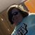 Susan House's profile image