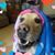 Rachel Gillooly's profile image