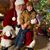 Joy Reaves Dollar's profile image