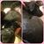 Kathleen Lamkins Nemec's profile image