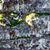 Joshua Seery's profile image