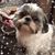 Julie Baht-Winner's profile image