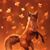 Dixie Black's profile image