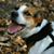 Julie Tew's profile image
