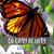 Susan Halstead's profile image