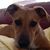 Kim Shepherd's profile image