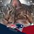 Paul Pam McNamara's profile image