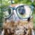 Mary Ann Romano Neihart's profile image
