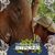 Christina Kissick's profile image