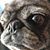 Anna Ruiz's profile image
