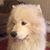 Bob Sharp's profile image