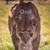 Terri Young's profile image