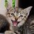 Debbi Ungerman's profile image