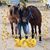 Melissa Gertner Brown's profile image