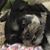 Christie Sipes's profile image