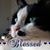Marge Chronister Heisler Kawasaki's profile image