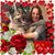 Jennifer Duffy's profile image