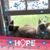 Cathy Scutellaro Paolillo's profile image
