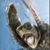Chris Fischer's profile image
