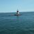 Sheryl Wilhelm's profile image