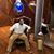 Roberto Almanza's profile image