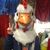 Ian Friedman's profile image