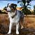 Terri Borck Johanson's profile image