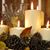 Tonya Scheid's profile image
