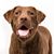 Claire Mitchell's profile image