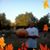 Angela Dahlke-Cline's profile image