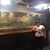 Isabel Fernandez's profile image