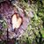 Cassia Winkler's profile image