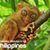 Ronnie Dingzon's profile image