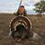 Carl Kilhoffer's profile image