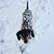 Dawn Burss Clemens's profile image