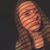 Samantha Gruber's profile image